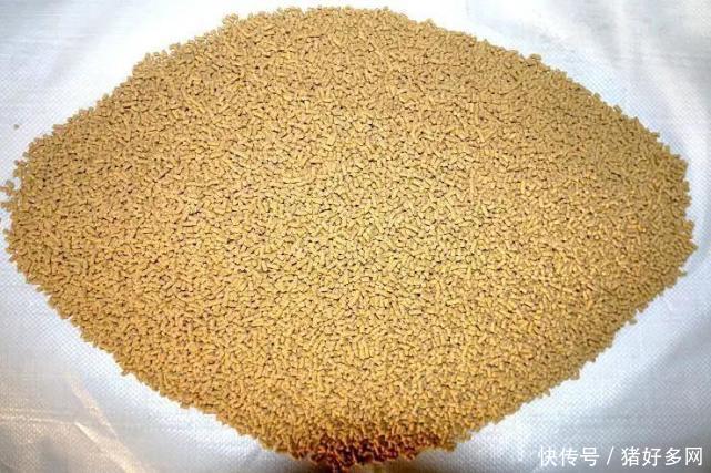 2000億播恩引領(lǐng)飼料4.0時(shí)代 推動(dòng)生物飼料標(biāo)準(zhǔn)制定，賦能畜牧技術(shù)革新